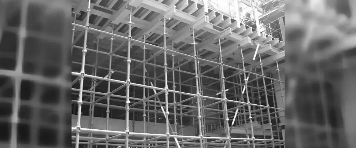 NykaLLP Sixth banner